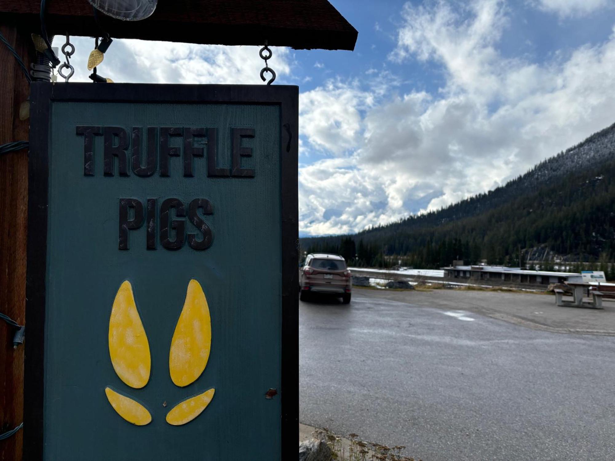 Truffle Pigs Lodge 菲尔德 外观 照片